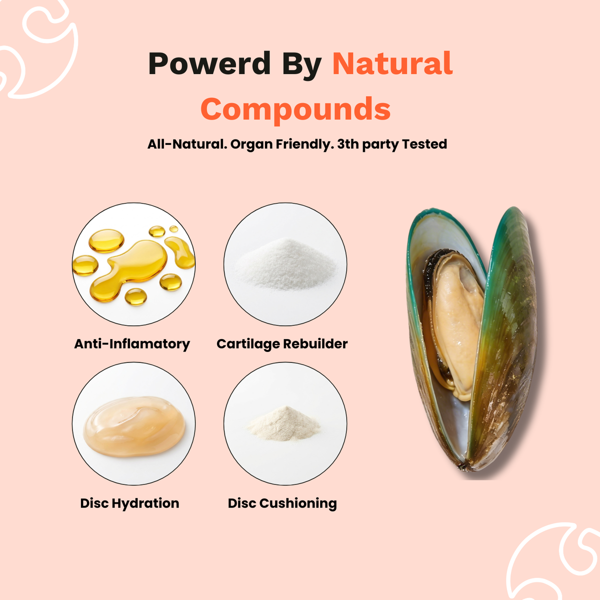 Spine & Disc Powder