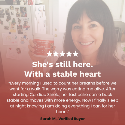 Cardiac Shield Powder