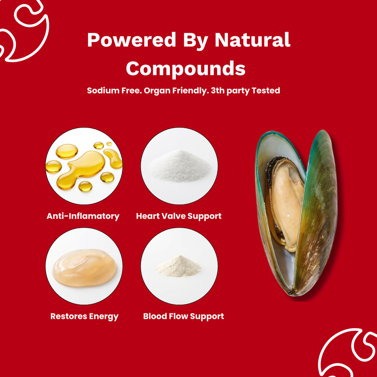 Cardiac Shield Powder
